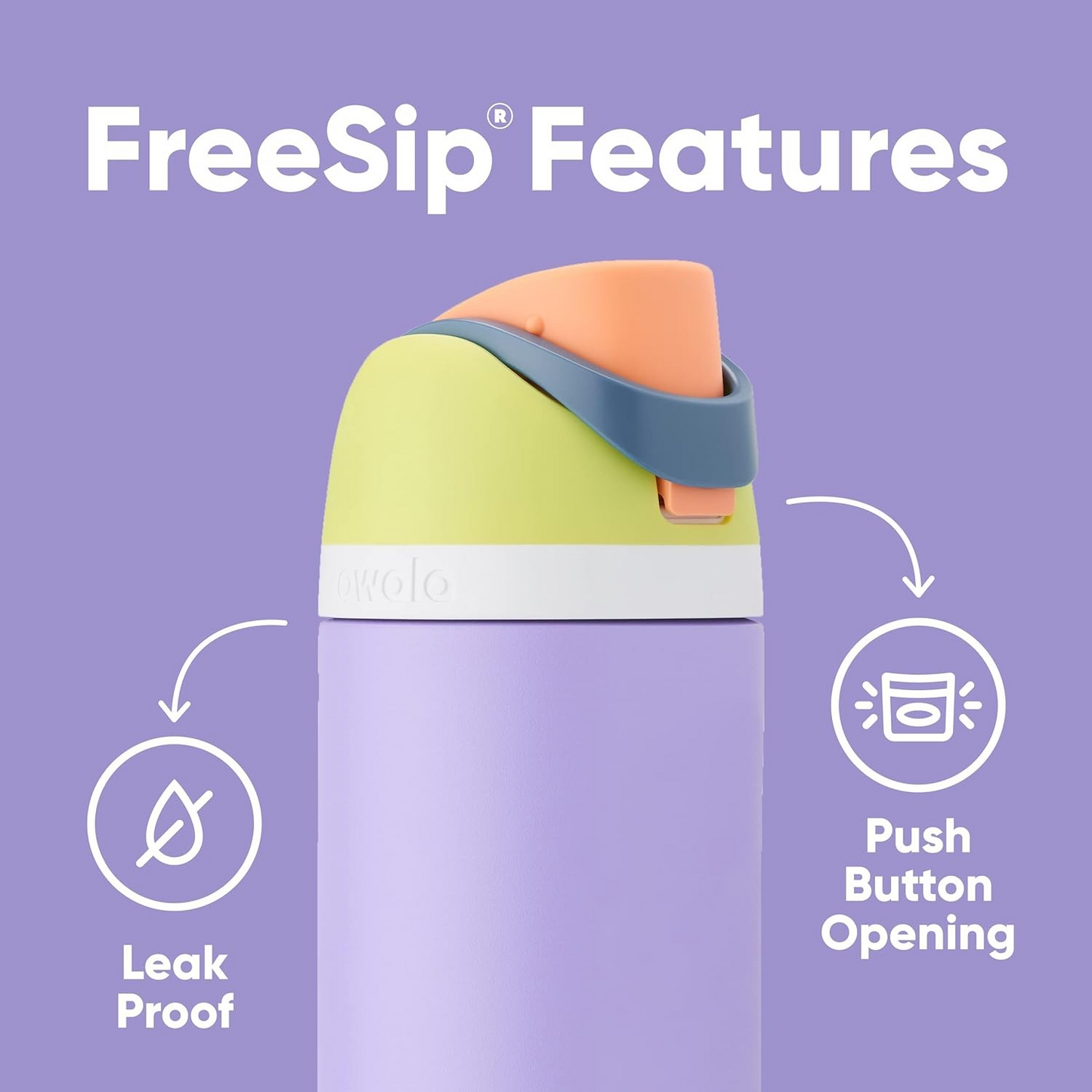 Insulated Water Bottle