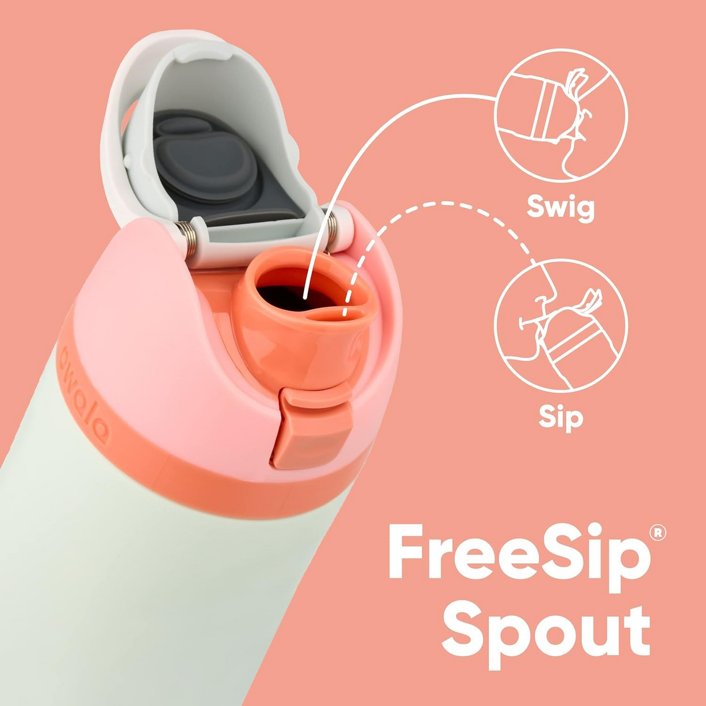 Insulated Water Bottle