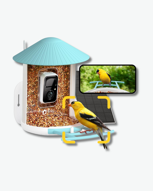Solar Powered Bird Feeder